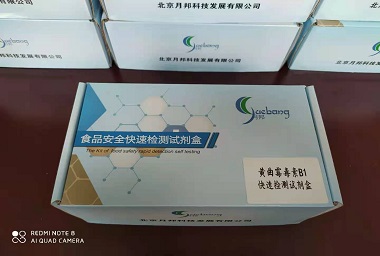 黄曲霉毒素B1快速检测试剂盒