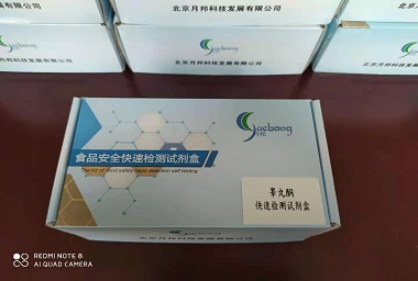 睾丸酮快速检测试剂盒